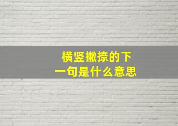 横竖撇捺的下一句是什么意思