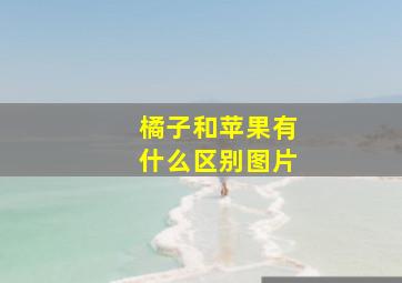 橘子和苹果有什么区别图片