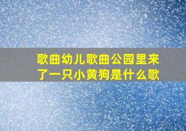 歌曲幼儿歌曲公园里来了一只小黄狗是什么歌