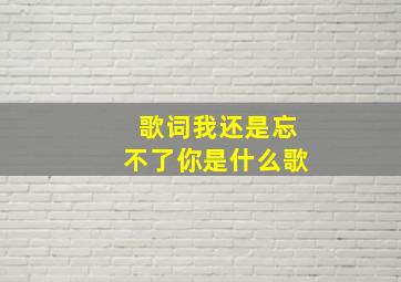 歌词我还是忘不了你是什么歌