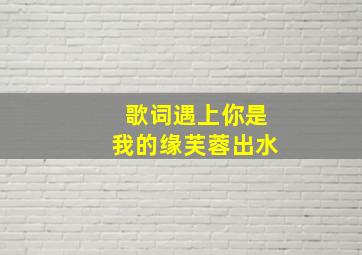 歌词遇上你是我的缘芙蓉出水