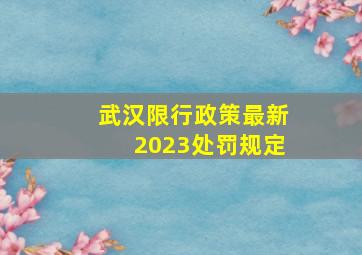 武汉限行政策最新2023处罚规定