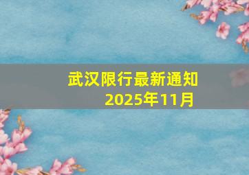 武汉限行最新通知2025年11月