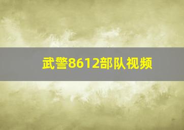 武警8612部队视频