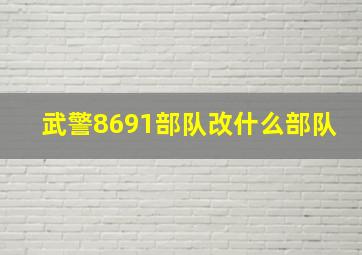 武警8691部队改什么部队