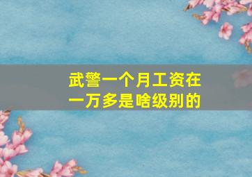 武警一个月工资在一万多是啥级别的