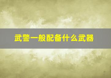 武警一般配备什么武器