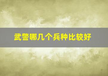 武警哪几个兵种比较好