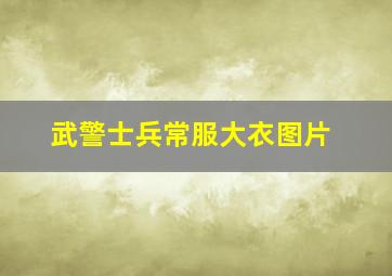 武警士兵常服大衣图片