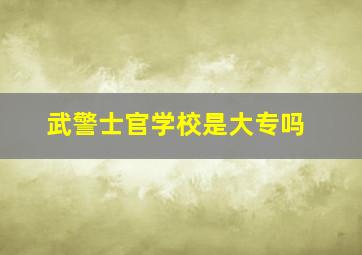 武警士官学校是大专吗