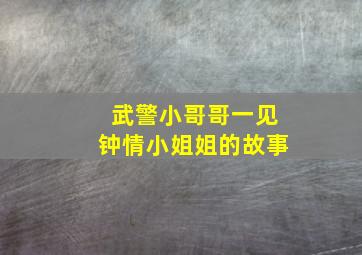 武警小哥哥一见钟情小姐姐的故事