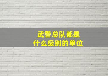 武警总队都是什么级别的单位