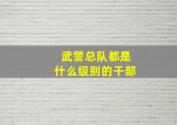 武警总队都是什么级别的干部