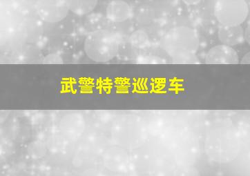 武警特警巡逻车