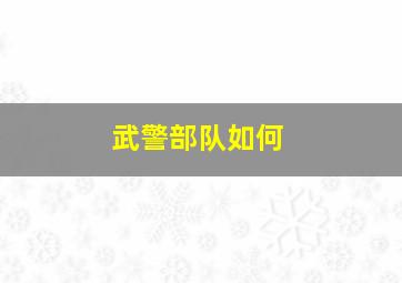 武警部队如何