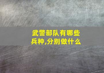 武警部队有哪些兵种,分别做什么