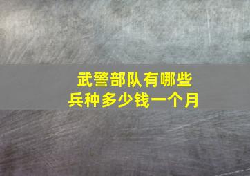 武警部队有哪些兵种多少钱一个月