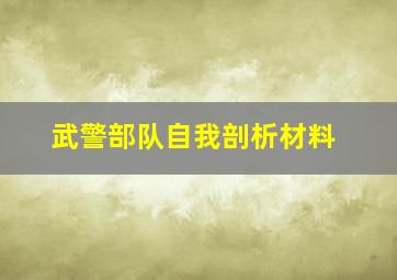 武警部队自我剖析材料