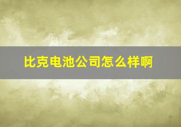 比克电池公司怎么样啊