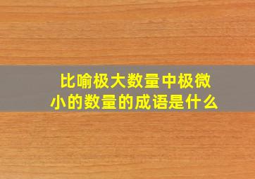 比喻极大数量中极微小的数量的成语是什么