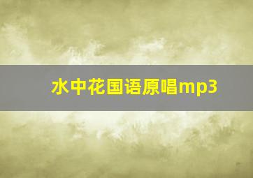 水中花国语原唱mp3