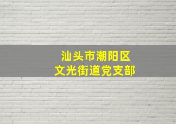 汕头市潮阳区文光街道党支部