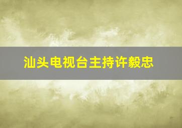 汕头电视台主持许毅忠