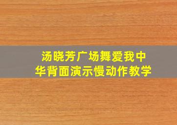 汤晓芳广场舞爱我中华背面演示慢动作教学