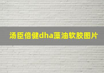 汤臣倍健dha藻油软胶图片