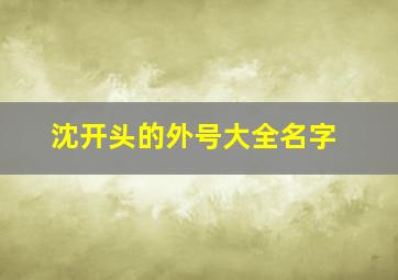 沈开头的外号大全名字