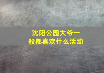 沈阳公园大爷一般都喜欢什么活动