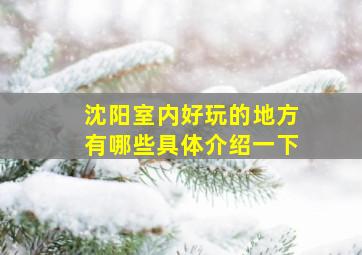 沈阳室内好玩的地方有哪些具体介绍一下