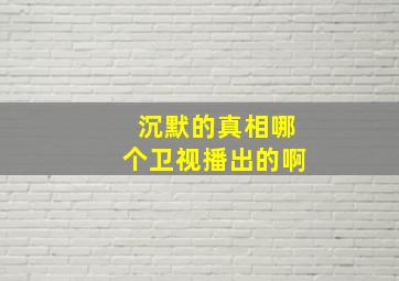 沉默的真相哪个卫视播出的啊