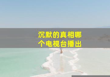 沉默的真相哪个电视台播出