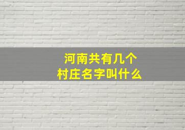 河南共有几个村庄名字叫什么