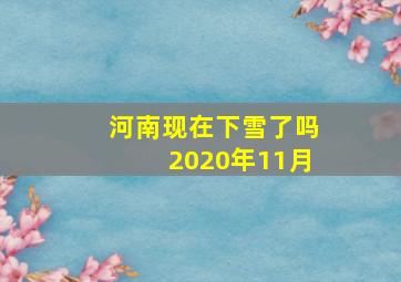 河南现在下雪了吗2020年11月