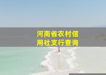 河南省农村信用社支行查询