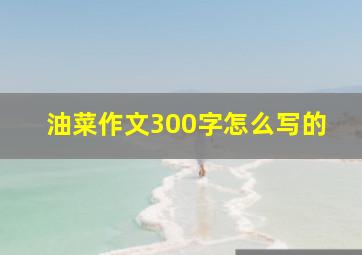 油菜作文300字怎么写的