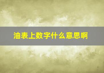 油表上数字什么意思啊