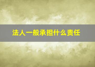 法人一般承担什么责任