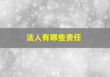 法人有哪些责任