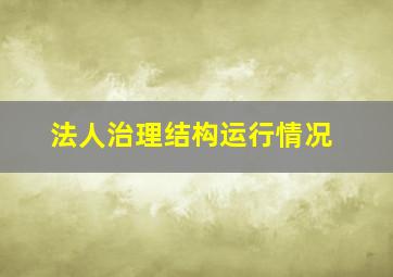 法人治理结构运行情况