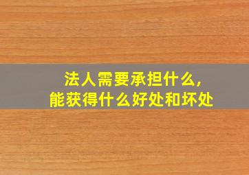 法人需要承担什么,能获得什么好处和坏处