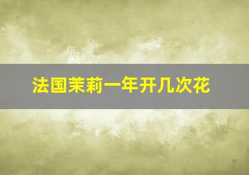 法国茉莉一年开几次花