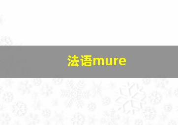 法语mure