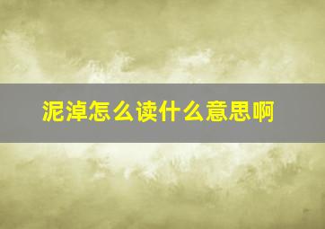 泥淖怎么读什么意思啊