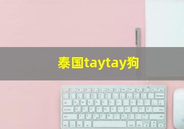 泰国taytay狗