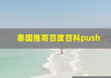 泰国推哥百度百科push