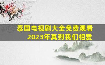 泰国电视剧大全免费观看2023年真到我们相爱