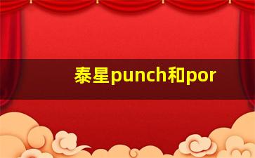 泰星punch和por